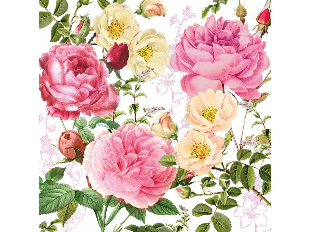 Roze