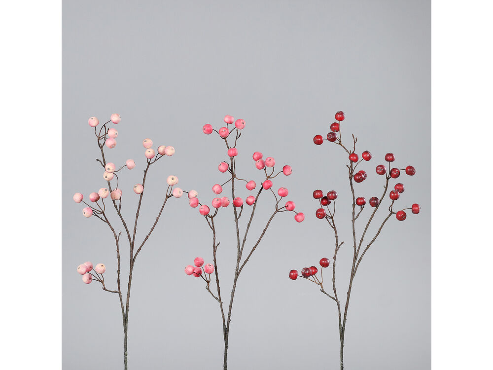 Roze