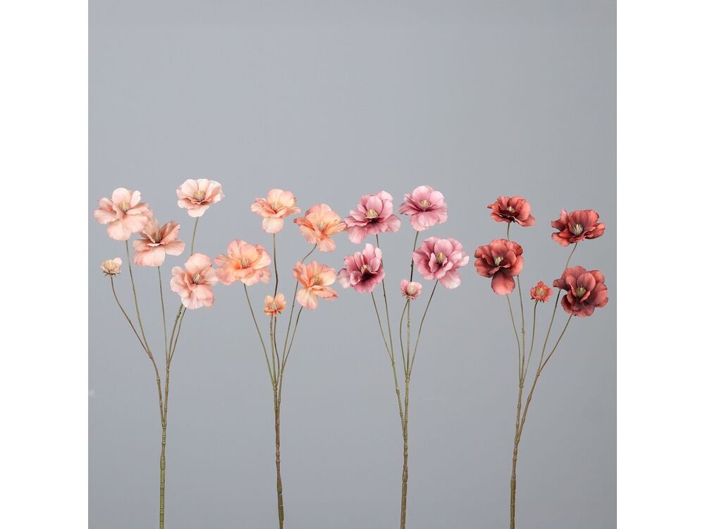 Roze