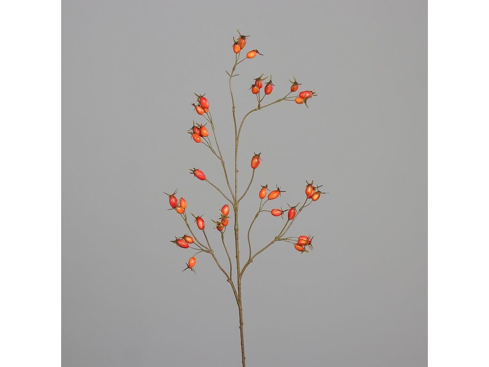 Oranje