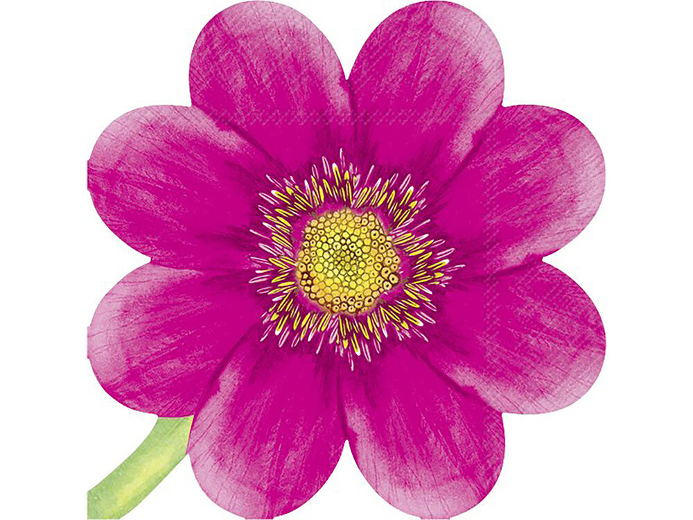 Roze