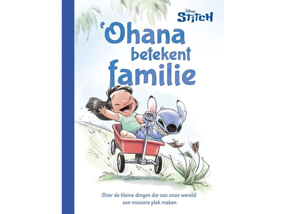 Overige