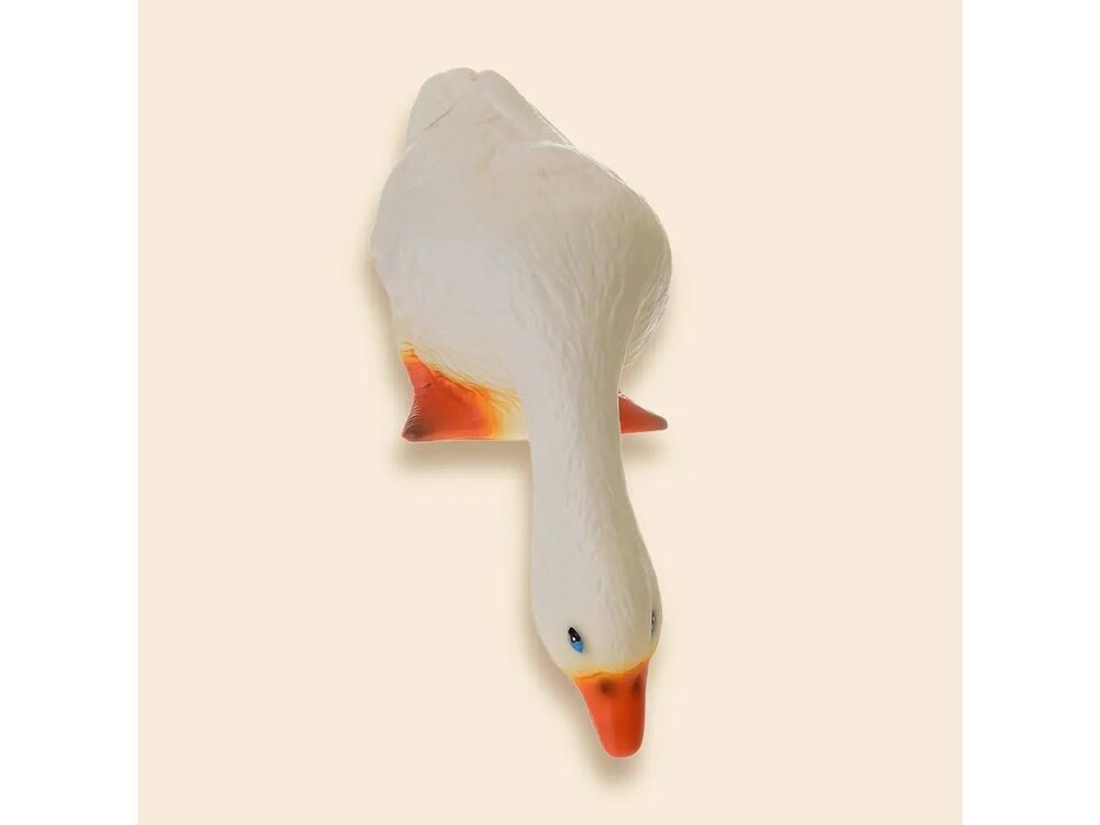 Wit