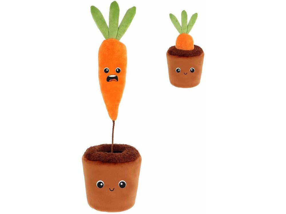 Overige