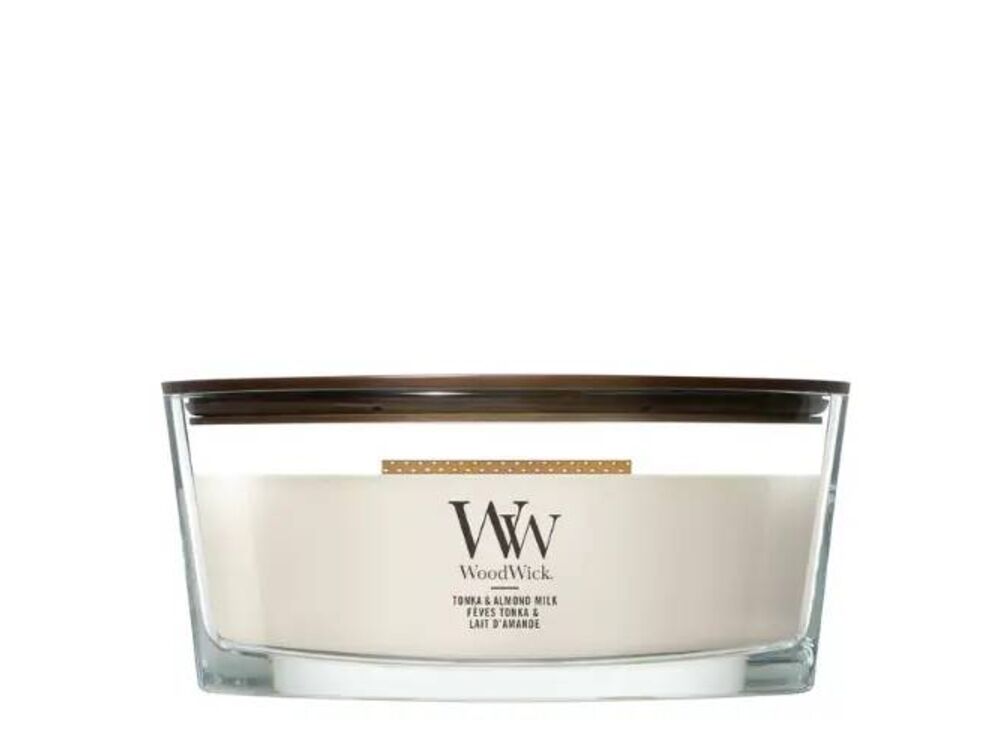 Wit