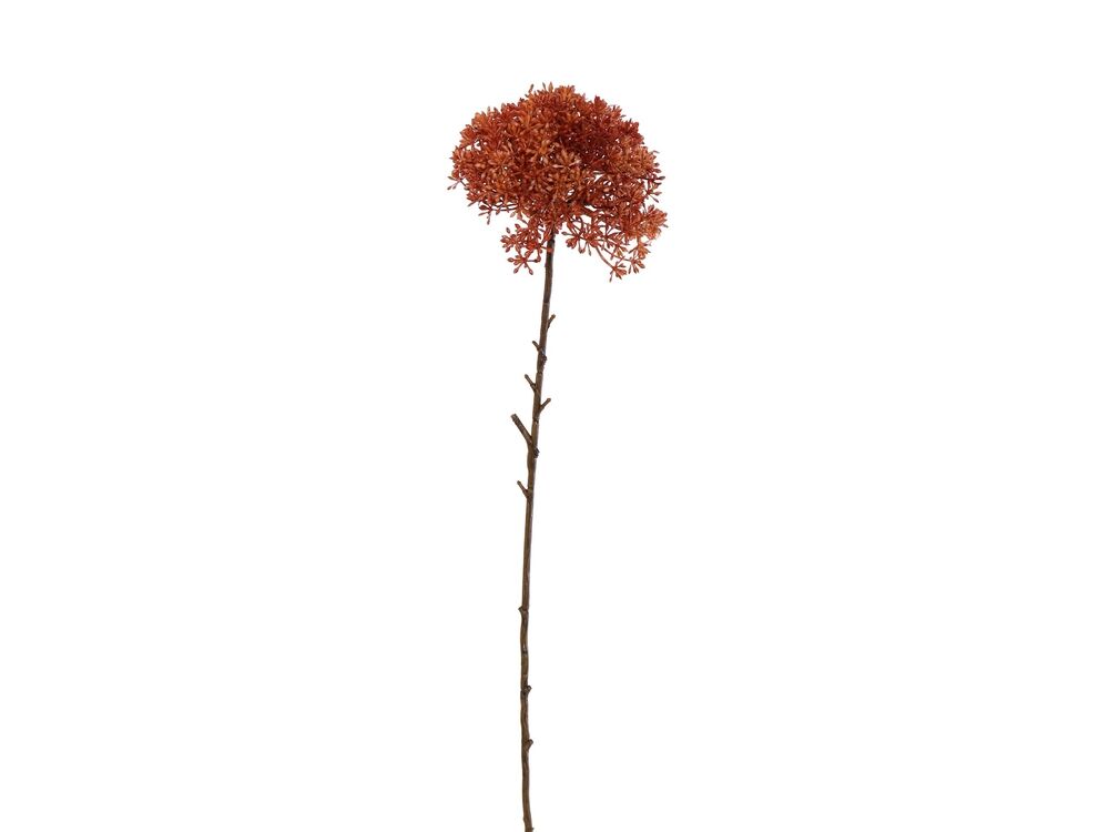 Oranje
