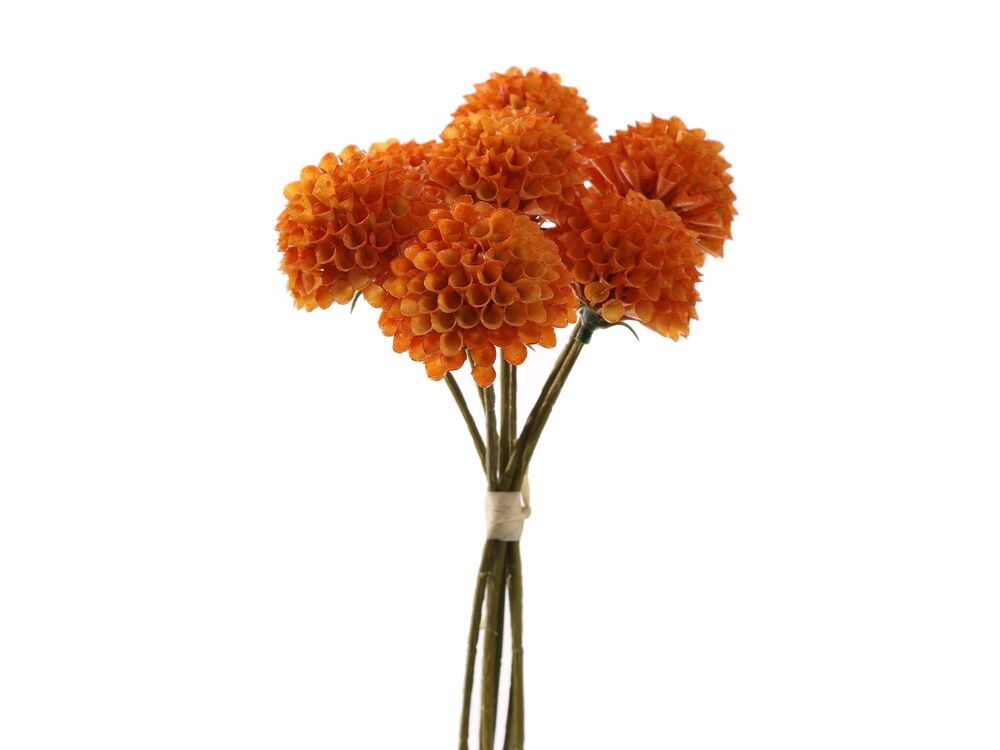 Oranje