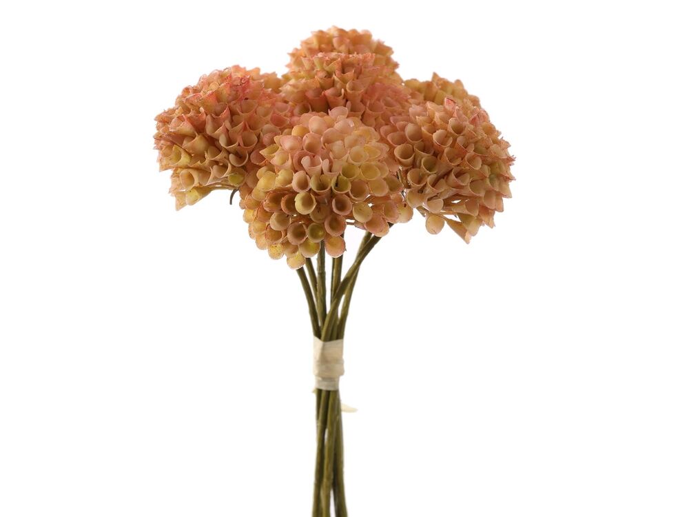 Oranje