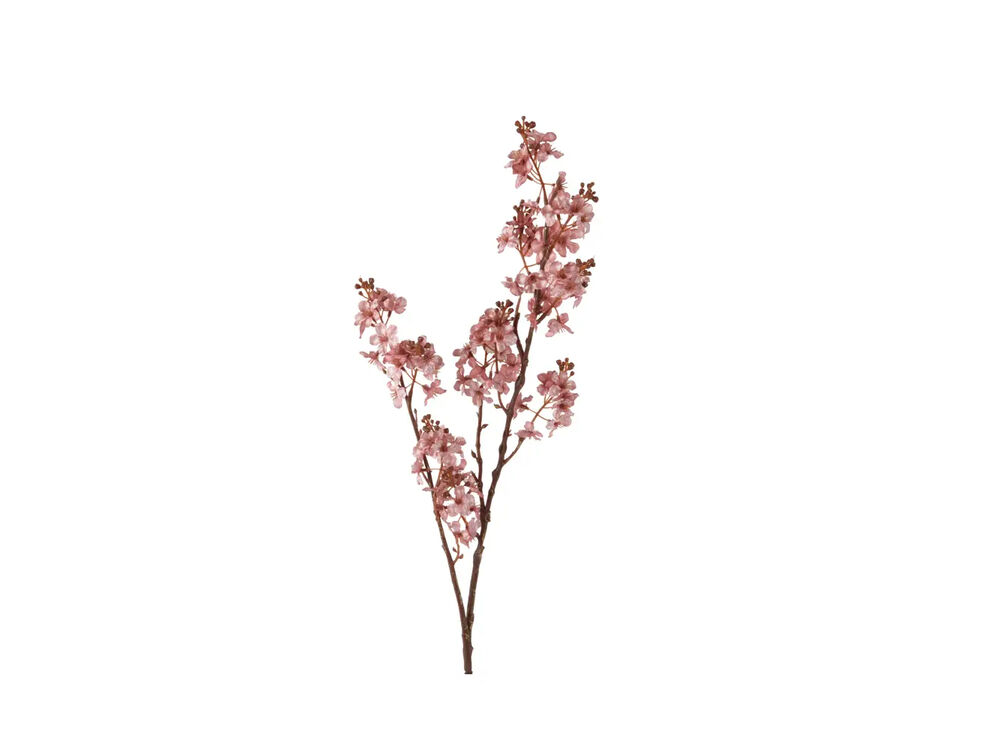 Champagne Roze