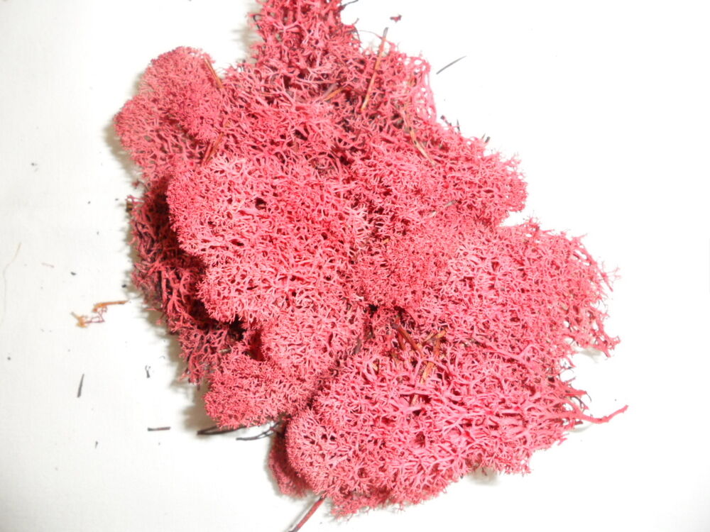 Roze