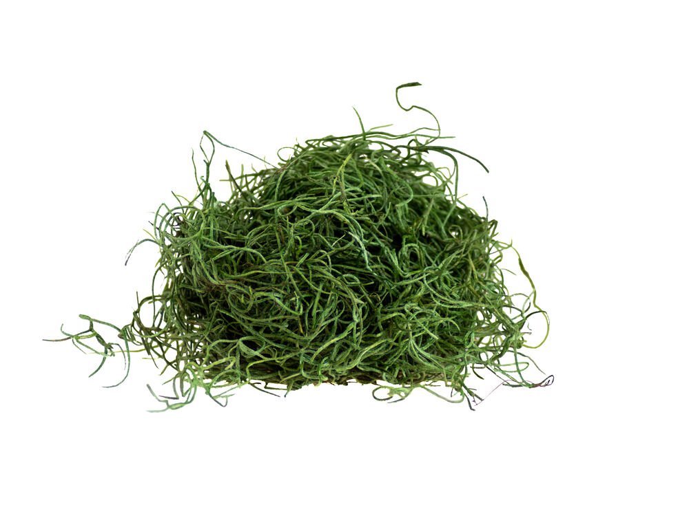 Groen