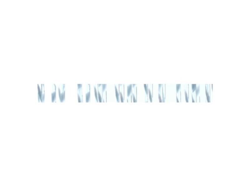 WIT