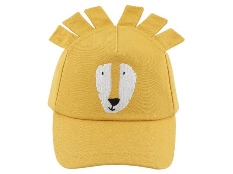 MR LION