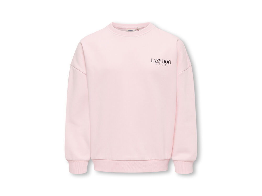 CHALK PINK LAZY DOG