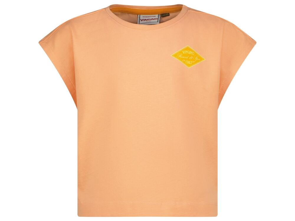 SOFT SALMON