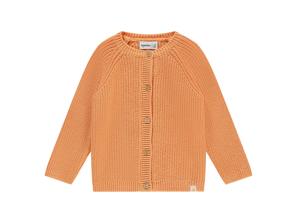 DUSTY ORANGE