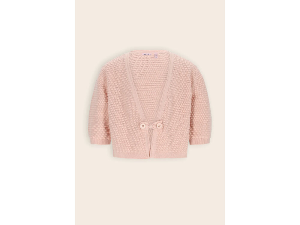 PALE BLUSH PINK