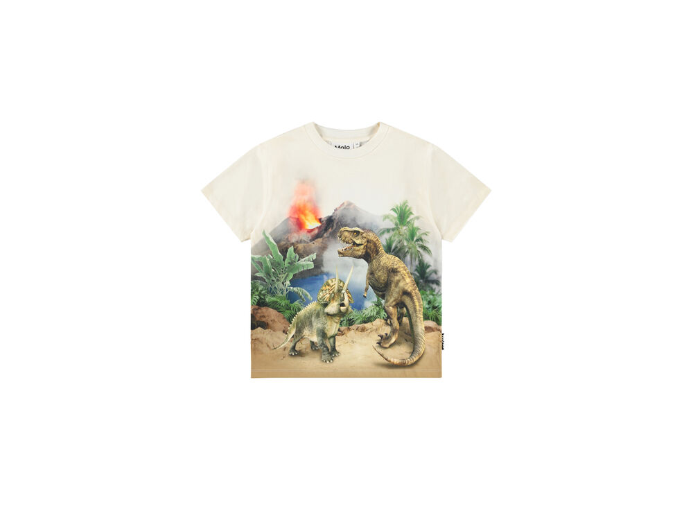 HOT SPRING DINOS