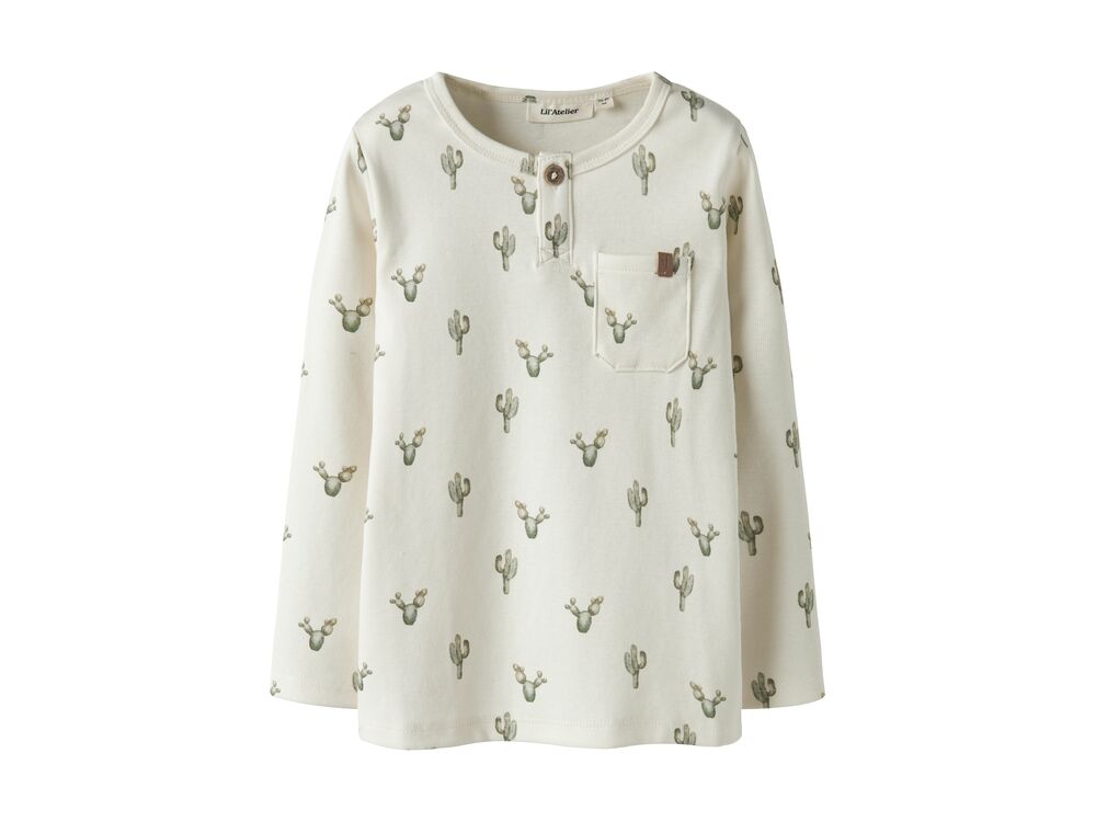 COCONUT MILK CACTUS