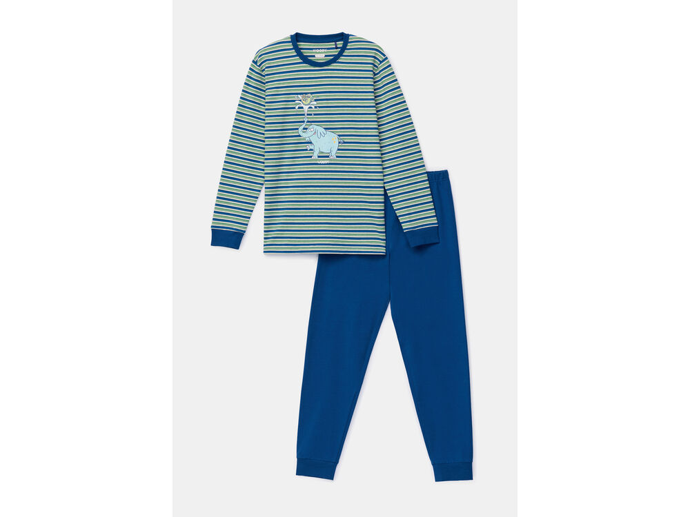 GROEN-BLAUWE STREEP