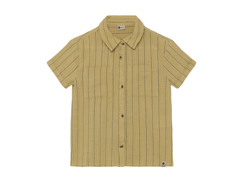 PALE OLIVE GREEN