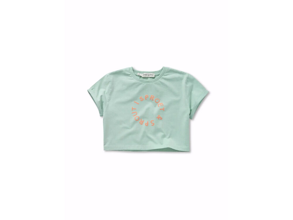 SILT GREEN
