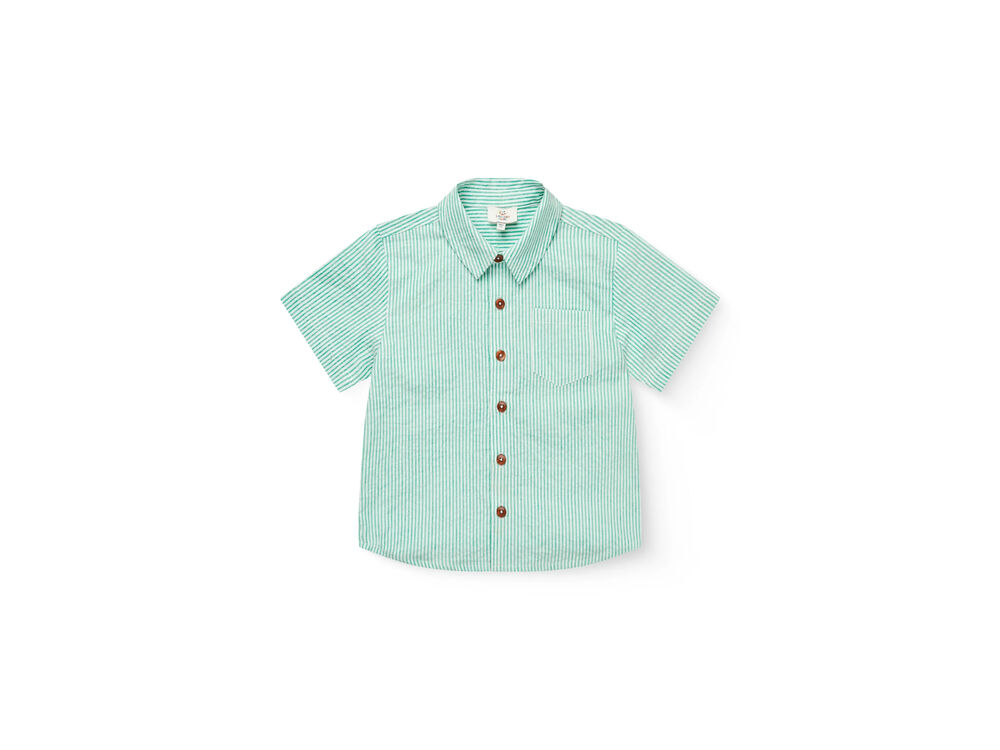 SHARP GREEN W CREAM STRIP
