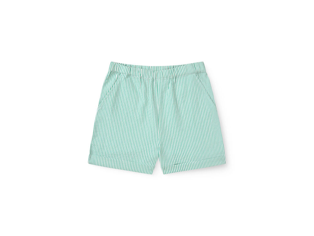SHARP GREEN W CREAM STRIP