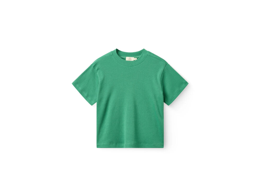 SHARP GREEN