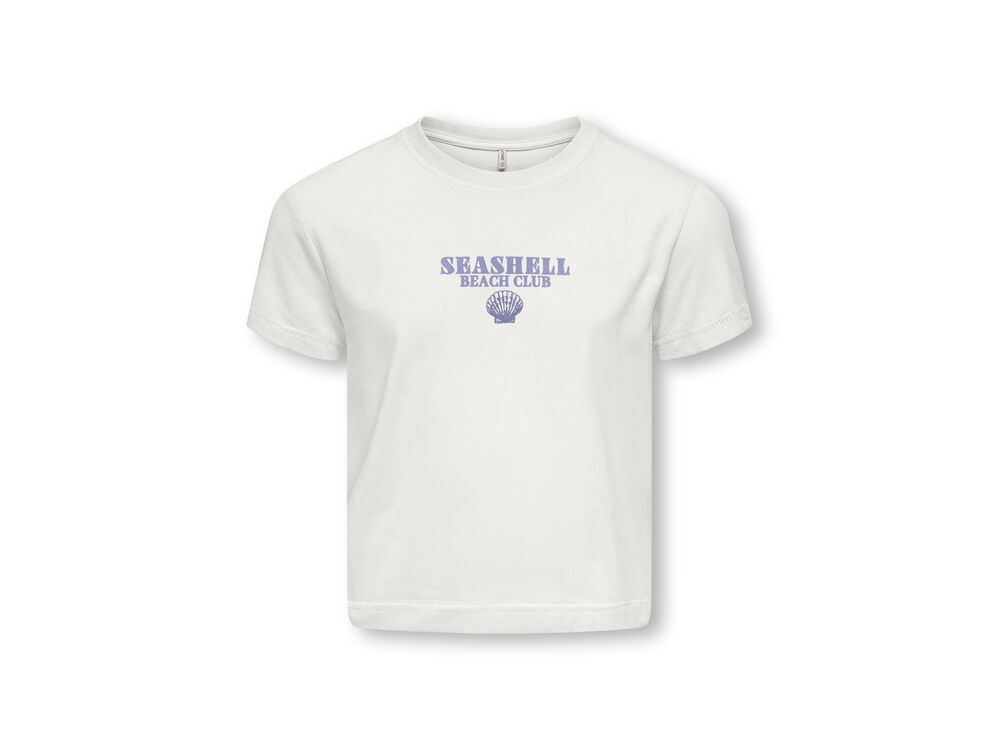 CLOUD DANCER SEASHELL   S
