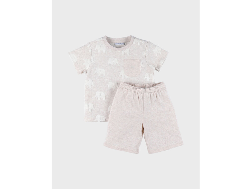 ELEPHANT GRIS