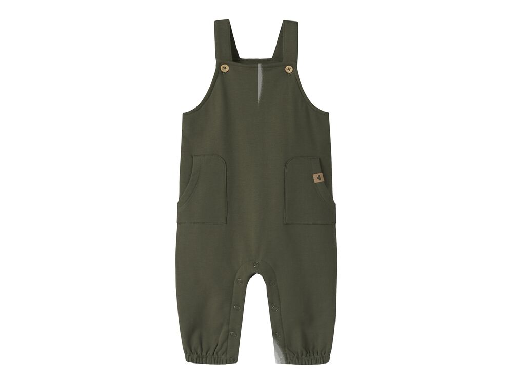 OLIVE NIGHT
