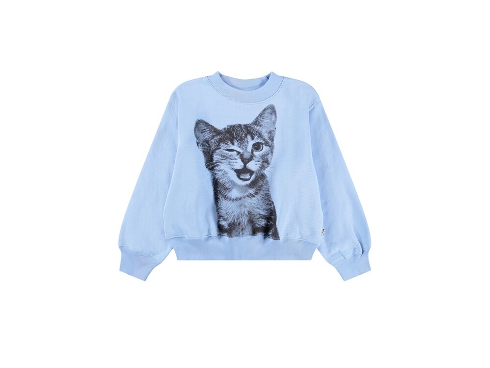 BLUE KITTEN