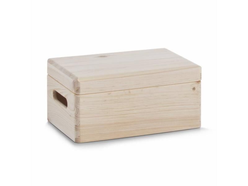 Hout