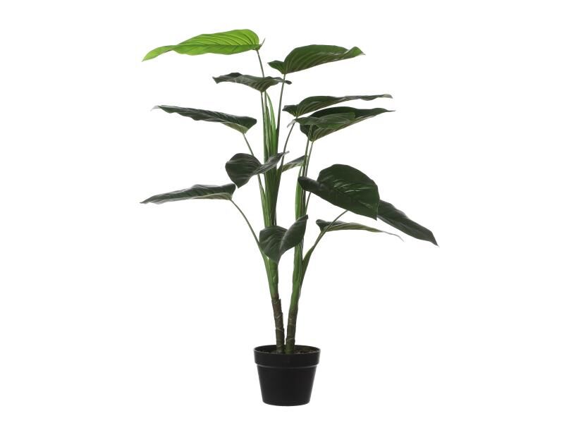 Groen