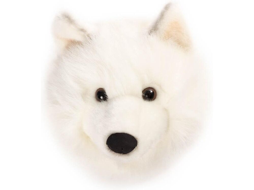 Wit