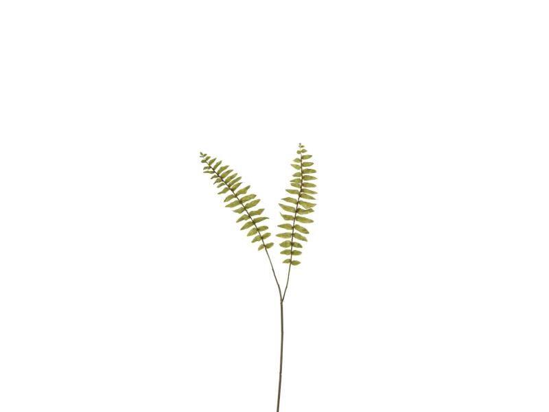 Groen
