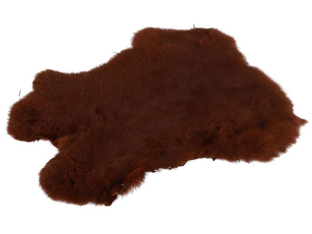 Bruin