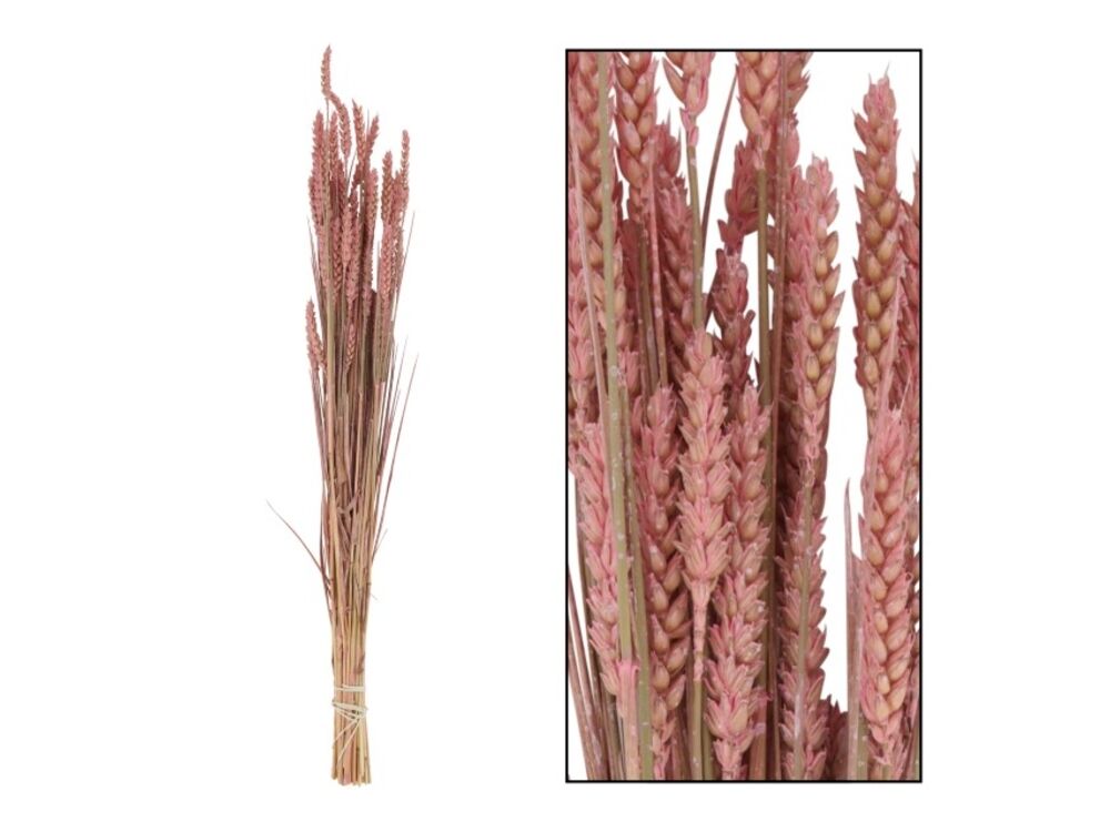 Roze
