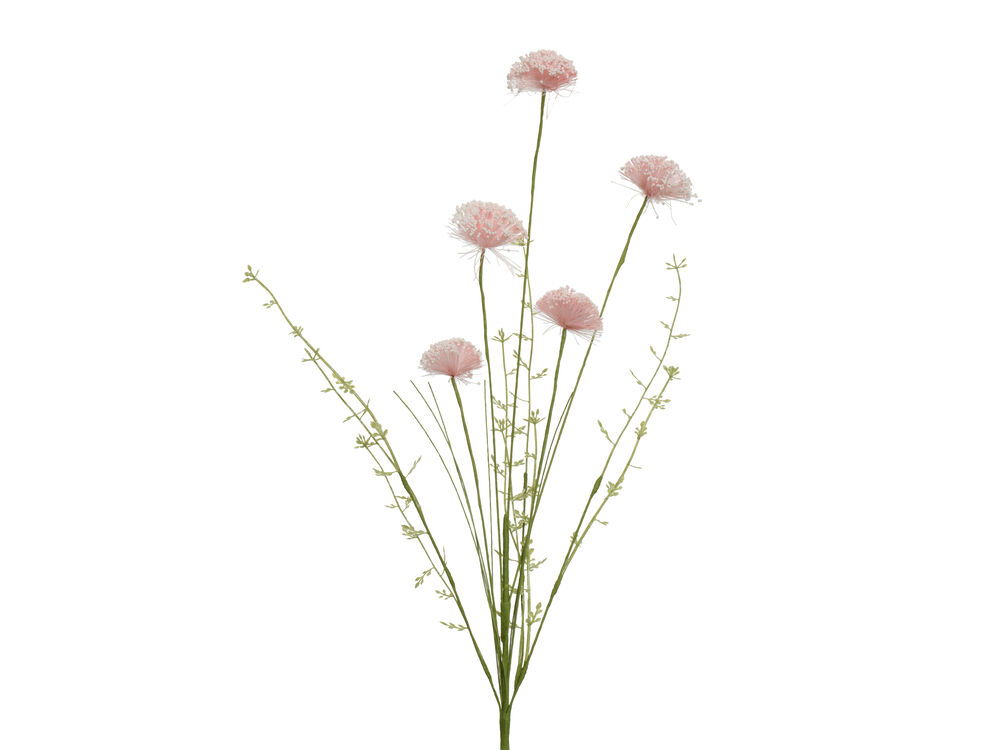 Roze