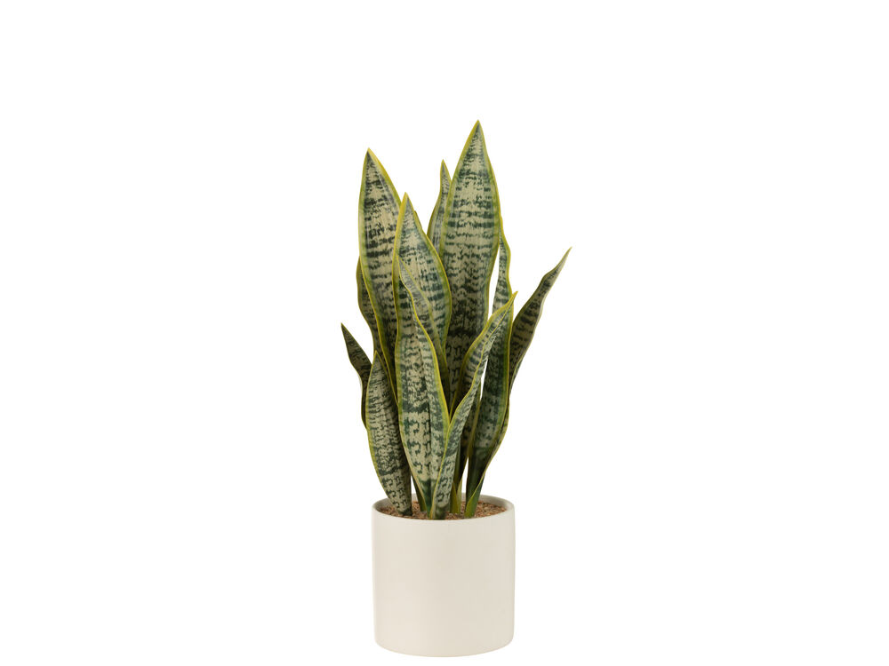 Groen