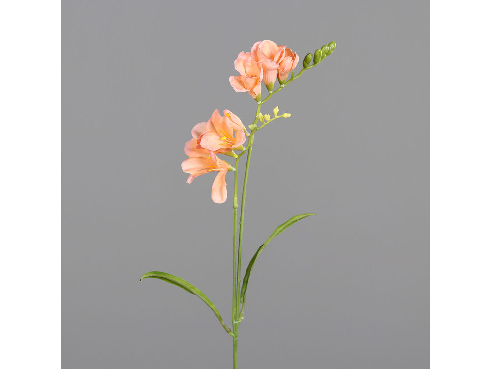 Oranje