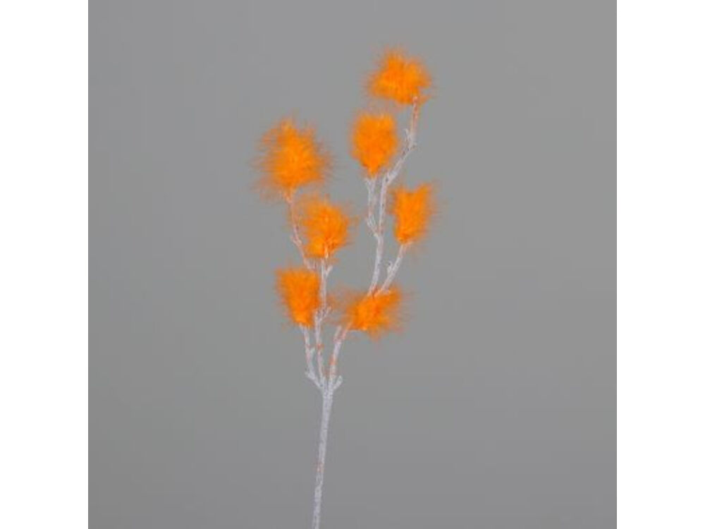 Oranje