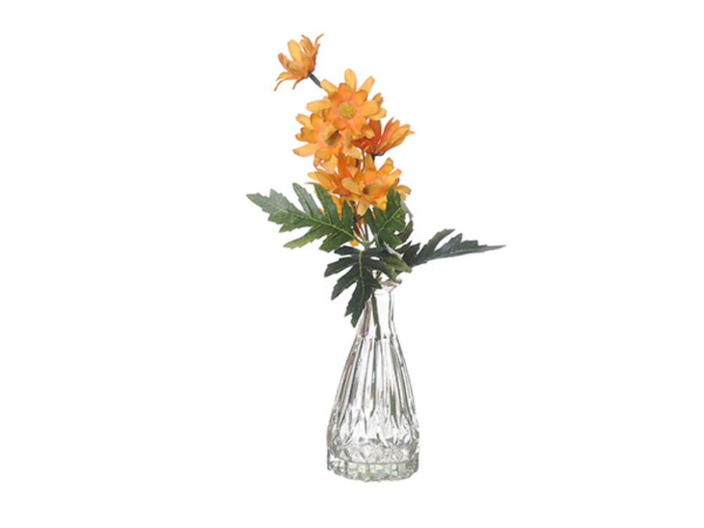 Oranje