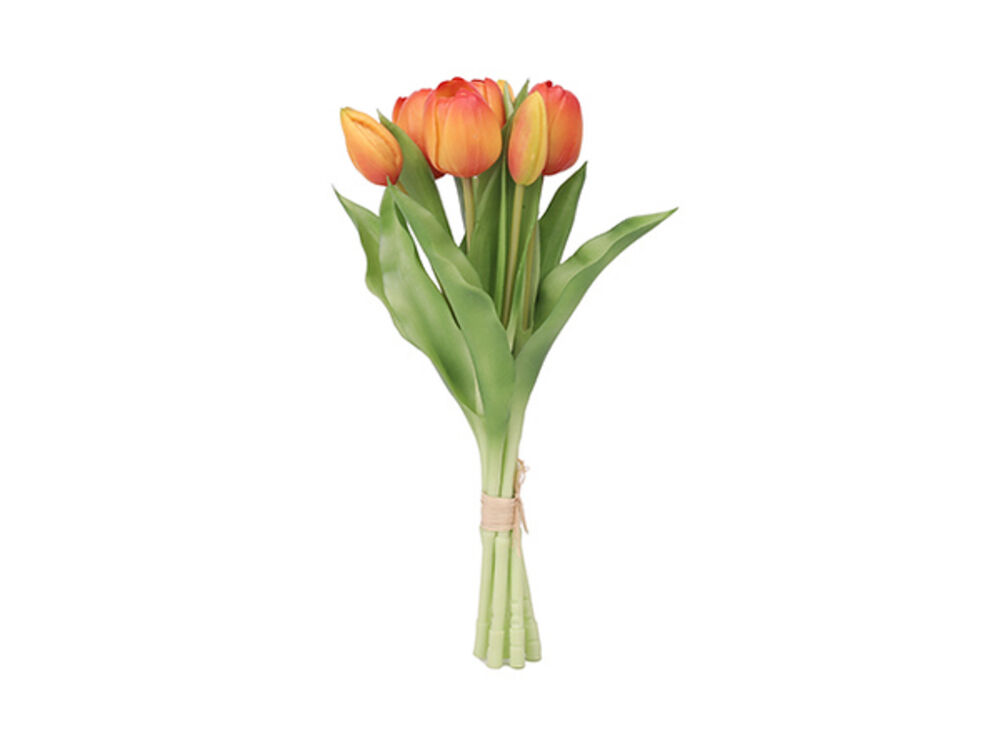 Oranje