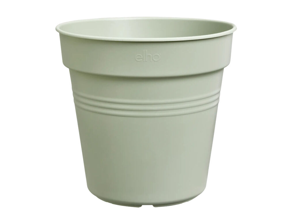 Groen