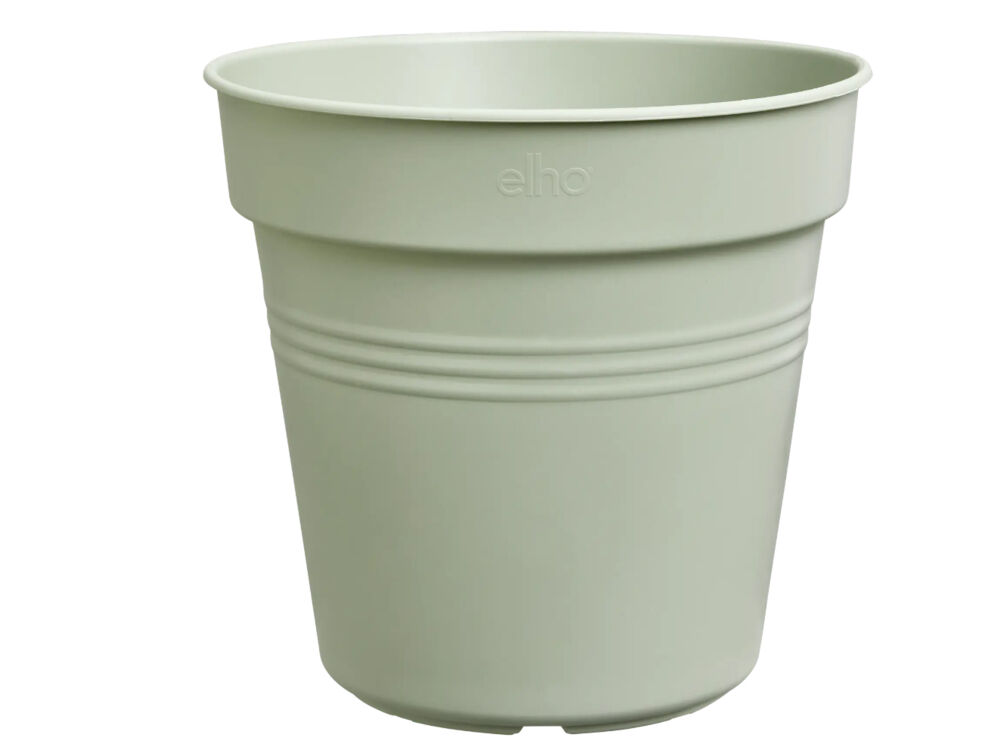 Groen