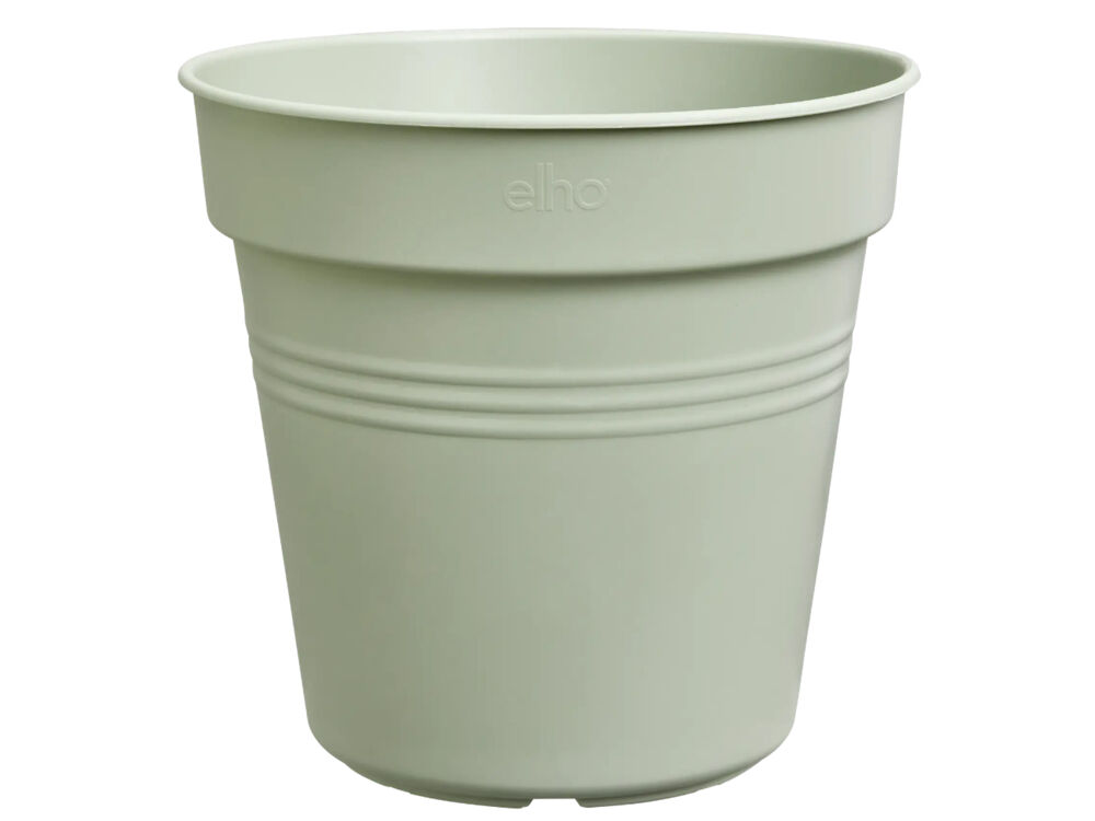 Groen