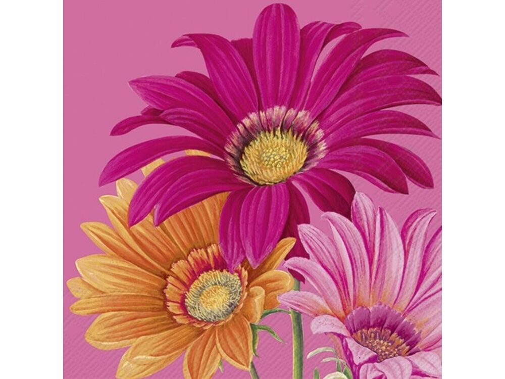 Roze