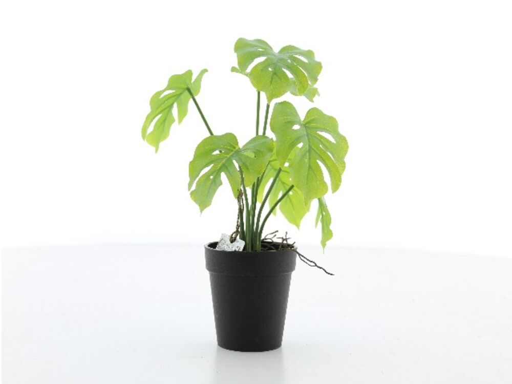 Groen